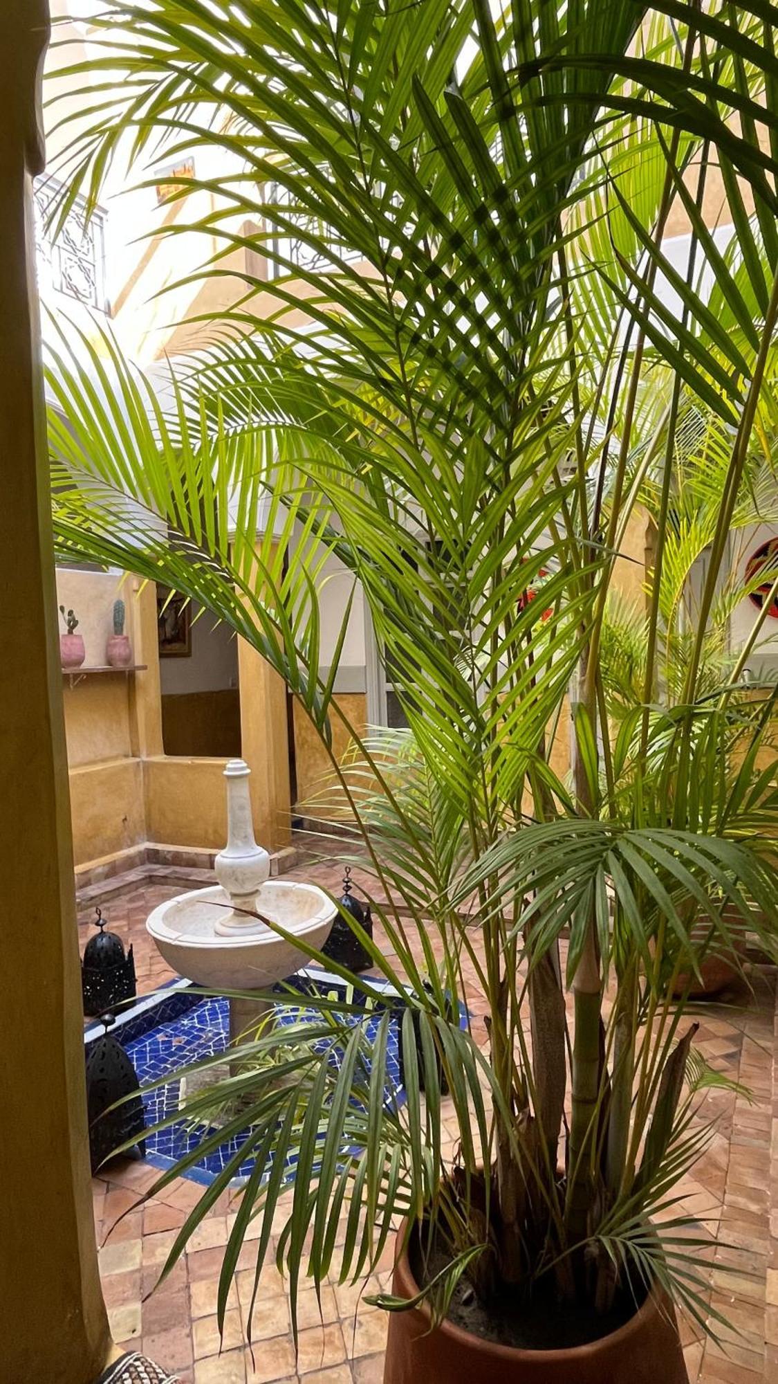Riad Laila Marrakesh Exterior photo